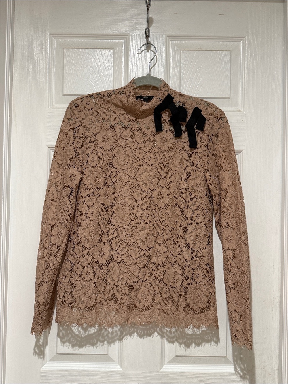 J. Crew Blush Lace Long-Sleeve Top with Black Ribbon Accent